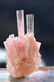 20 Gram Terminated And Undamaged Blue Cap Pink color - 7