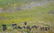 Oil painting Mountain landscape Gabda Vasily - 6