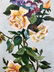 Oil painting Roses are vertical - 4