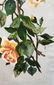 Oil painting Roses are vertical - 6