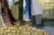Oil painting A meeting Buryak Boris Ivanovich - 5