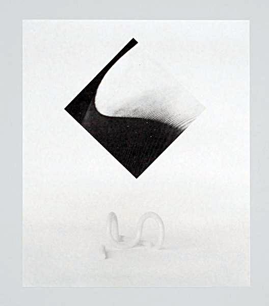 Carol Bove - Untitled: Artist: Carol Bove Title: Untitled Medium: Screenprint Dimension: 25" x 21" Description: Signed and numbered edition of 100 Reserve: $600.00 Shipping: Domestic: Flat-rate of $20.00 to anywhere within