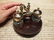 Brass Hardwood w 2 Clear Glass Inkwell bottles pots