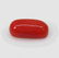 2.23 Ctw Natural Italian Red Coral Cabsule Cab