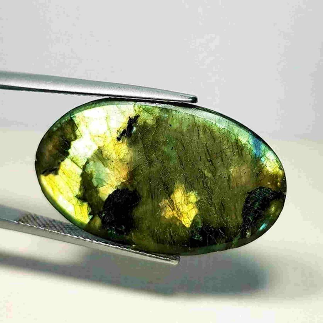 26.21 ct Natural Labradorite: No Reserve! Title: 26.21 ct Natural Labradorite Color/Clarity: Opaque Type: Gemstones Carat Weight: 2 Dimensions: 30.88 x 18.98 x 5.50 Additional Information: Oval - USA Shipping: Worldwide: Flat-