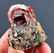 40 Gram Rare Blood Red Color Lustrous Zircon Crystals - 3