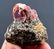 40 Gram Rare Blood Red Color Lustrous Zircon Crystals - 5