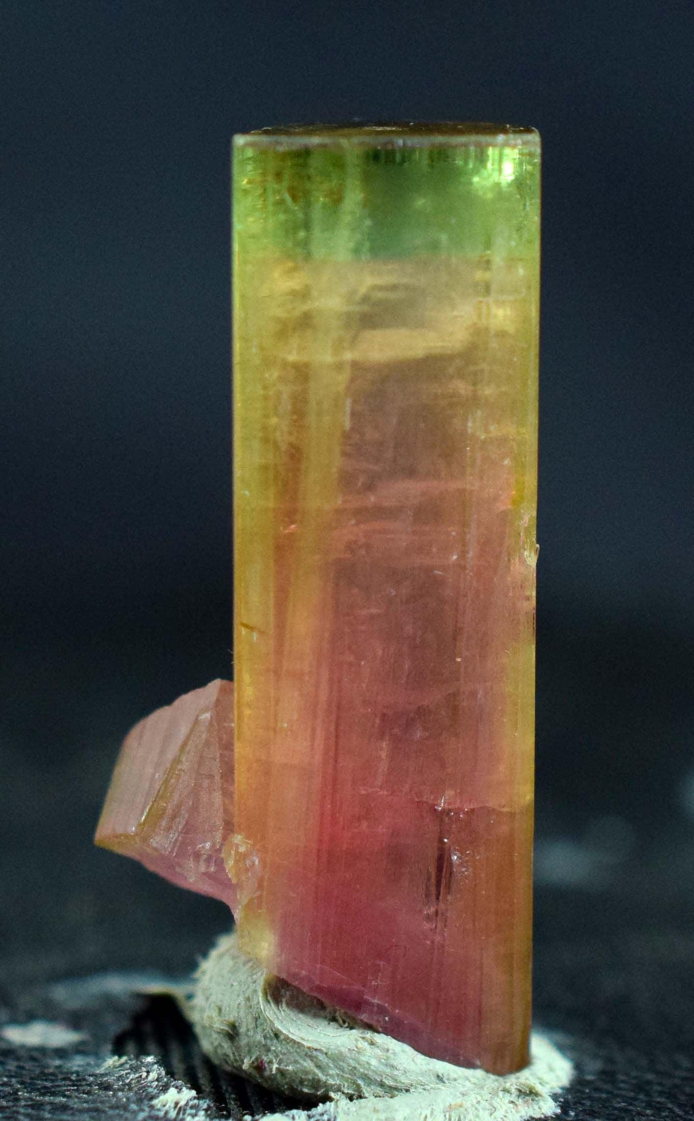 Watermelon Tourmaline Crystal - Pink Cap Watermelon: Material Tourmaline more Dimensions Carat weight: 19.70 Description Watermelon Tourmaline Crystal - Pink Cap Watermelon Tourmaline - 19.70 Carats Weight : 19.70 Carats Dimensions - 27*12*09 mm origin