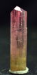 Bi-Color Tourmaline Crystal Diamond cut terminated -
