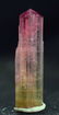 Bi-Color Tourmaline Crystal Diamond cut terminated - - 5