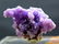 Grape Agate Chalcedony Specimen , Botryoidal Chalcedony - 3