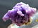 Grape Agate Chalcedony Specimen , Botryoidal Chalcedony - 4