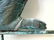Vintage Squirrel Weathervane - 7