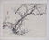 Bairei: Flowering tree