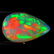 4.58 ct rainbow flash 3D floral harlequin opal