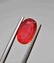 Rhodonite Certified - 2.60 ct - 5