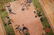 Blush Chinese Art Deco Rug - 4