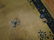 Oversize Shabby Chic Chinese Rug - 4
