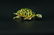Karbra Turtle Brooch with Enamel and Diamond Eyes - 10