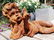 Antique garden sculpture of an Angel (boy) - 2