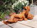 Antique garden sculpture of an Angel (boy) - 7