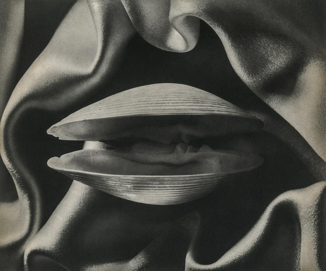 Ruth Bernhard, Shell in Silk: Artist: Ruth Bernhard Title: Shell in Silk Medium: Photo Litho, 1937, USA Dimensions: 8.35x6.95" Additional Information: Heat Wax Mounted on 11x14" Conservation Board Artist Bio: Ruth Bernhard was a G