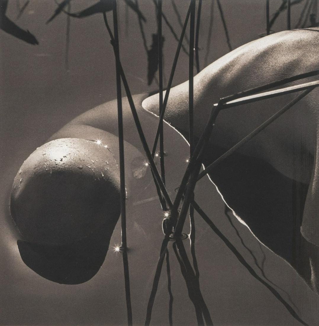 Karin Rosenthal, Frog Princess: Artist: Karin Rosenthal Title: Frog Princess Medium: Photo Litho, 2003, Australia Dimensions: 6.25x6.4" Additional Information: Heat Wax Mounted on 8.5x11" Conservation Board Artist Bio: Karin Rosenth