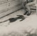 Francesca Woodman, Untitled, Providence, Rhode Island