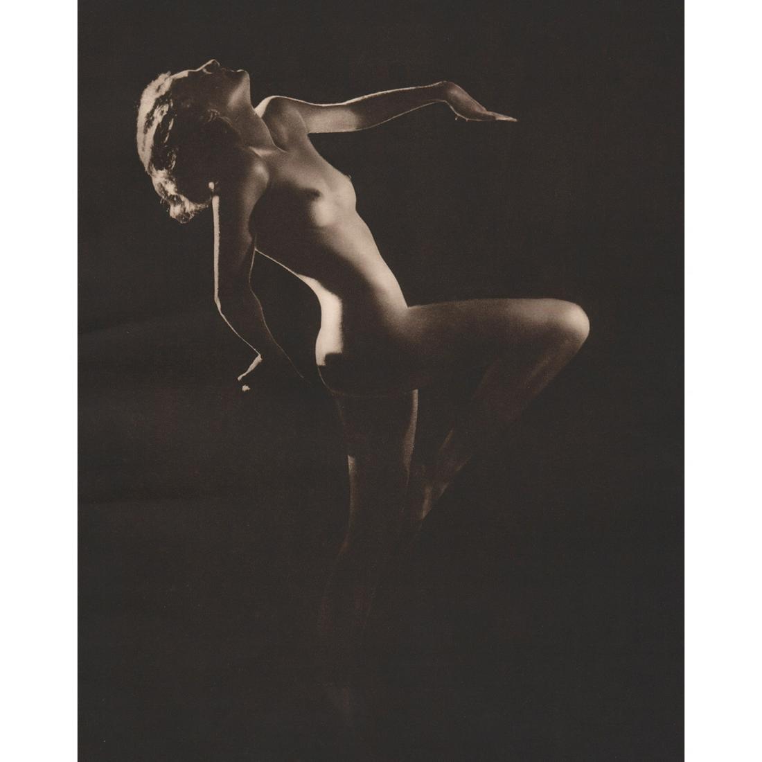 WALTER BIRD - III Butterfly (1 of 1)