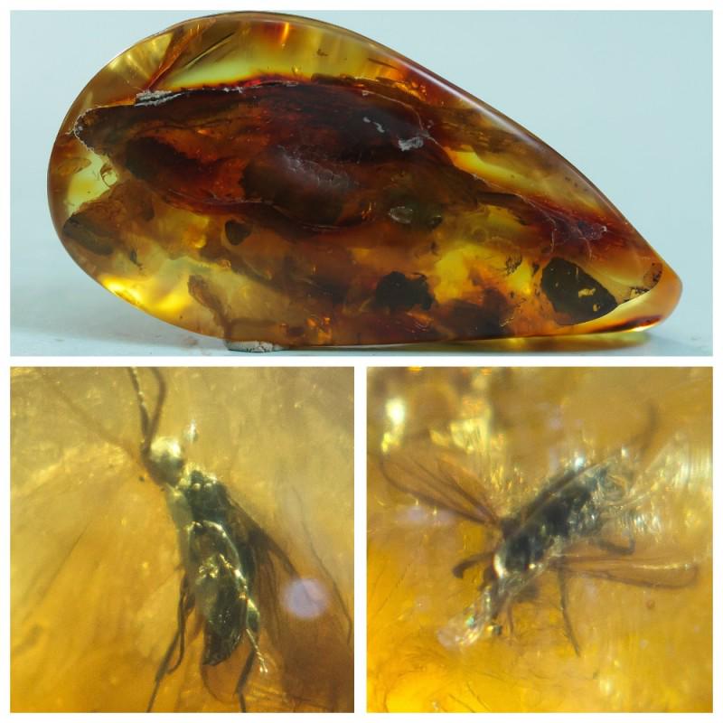 37 g. 100% natural Baltic amber stone fossil with 3 (1 of 10)