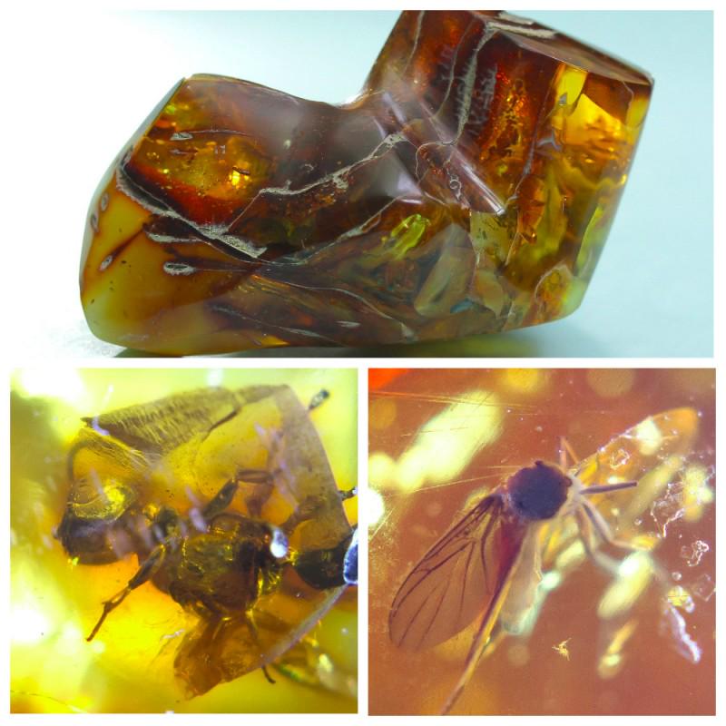 60 gram 100% natural Baltic amber stone fossil with (1 of 12)