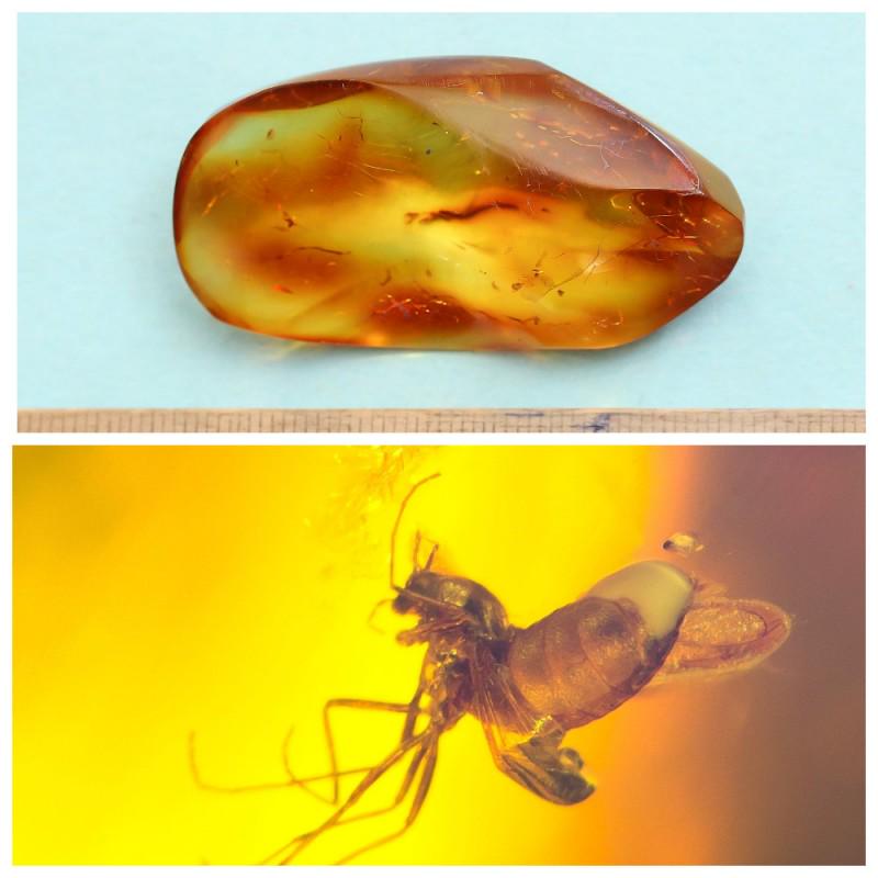 11.33 g. 100% natural Baltic amber stone fossil with (1 of 9)