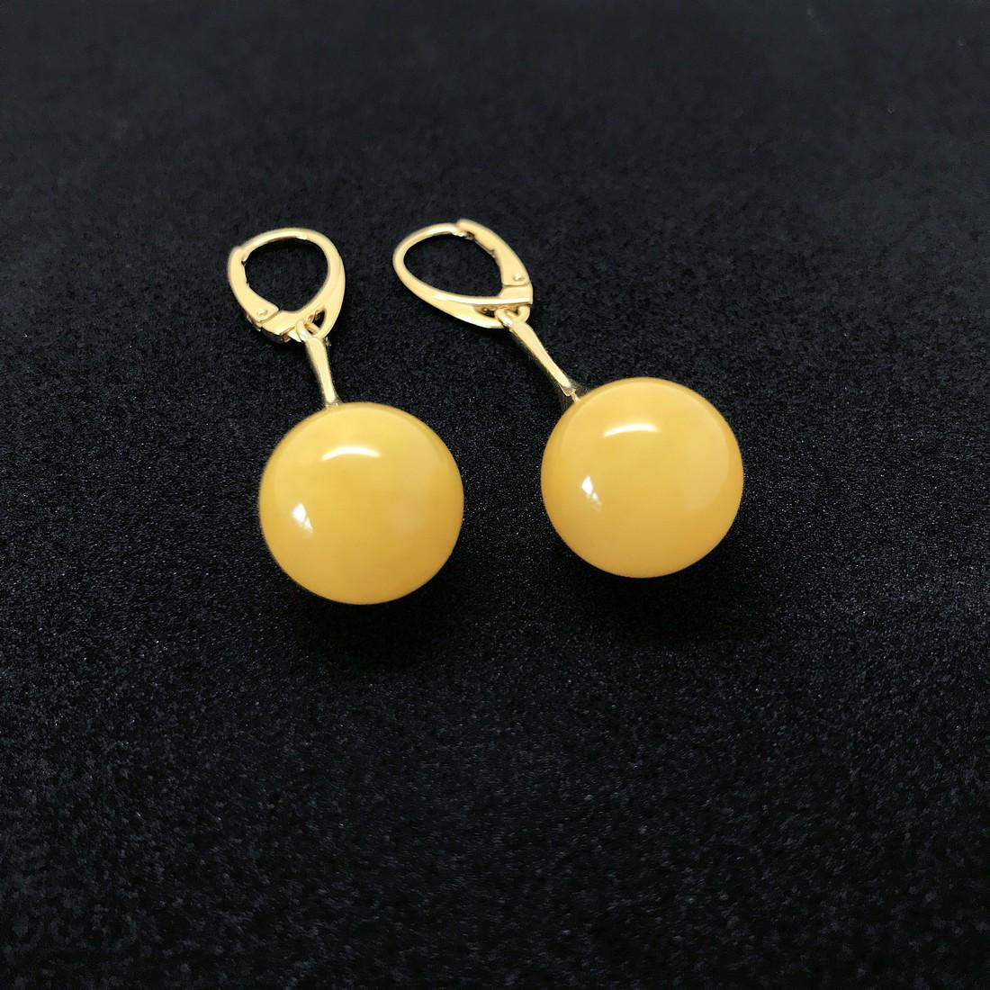 Astonishing Amber Earrings (1 of 6)