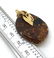 Unique and Extraordinary Amber Pendant shaped like an - 7