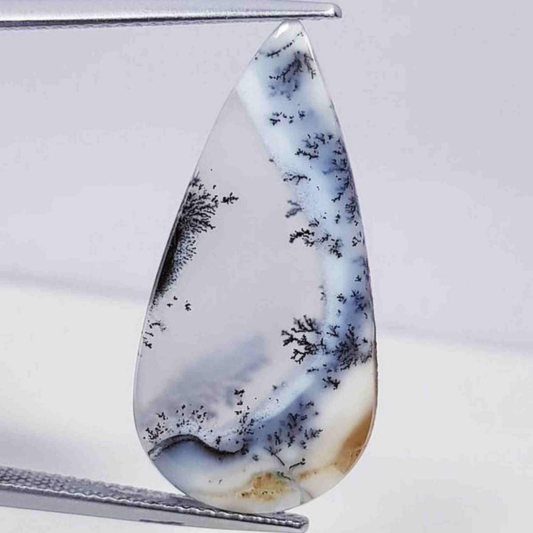 8.81 ct Natural Dendrite Opal: No Reserve! Title: 8.81 ct Natural Dendrite Opal Color/Clarity: Opaque Type: Gemstones Carat Weight: 8.81 Dimensions: 28.32 x 14.00 x 3.29 Additional Information: Pear - Australia Shipping: Domest