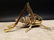 Gold Brass Fireplace Good Luck Hearth Cricket - 9