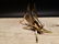 Gold Brass Fireplace Good Luck Hearth Cricket - 2