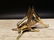 Gold Brass Fireplace Good Luck Hearth Cricket - 3