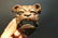 Cast Iron wall mount folk art Bulldog Beer Bottle - 10