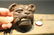 Cast Iron wall mount folk art Bulldog Beer Bottle - 12