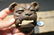 Cast Iron wall mount folk art Bulldog Beer Bottle