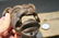 Cast Iron wall mount folk art Bulldog Beer Bottle - 6
