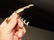 Brass Fish Wine Bottle Corkscrew - 4
