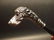 Spaniel Dog Head Handle Metal Walking Stick Cane - 8