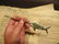 Brass Nautical Swordfish letter opener Fishing Fish - 2