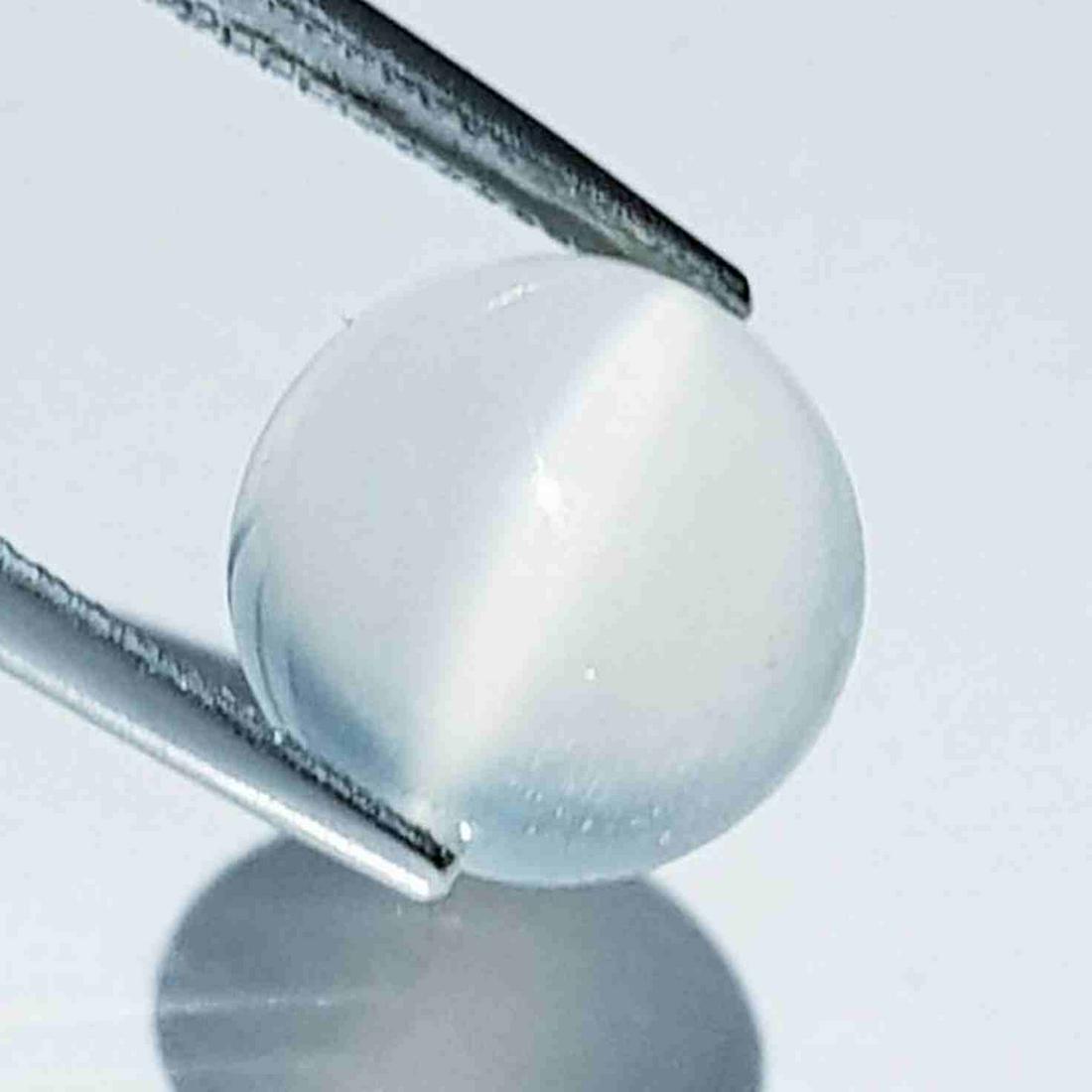 Natural Moonstone Cat's Eye 6.10 ct: No Reserve! Title: Natural Moonstone Cat's Eye 6.10 ct Color/Clarity: VVS Type: Loosegemstone Carat Weight: 6.1 Dimensions: 12.00 x 12.00 x 6.00 Additional Information: Round - Srilanka Shipping: