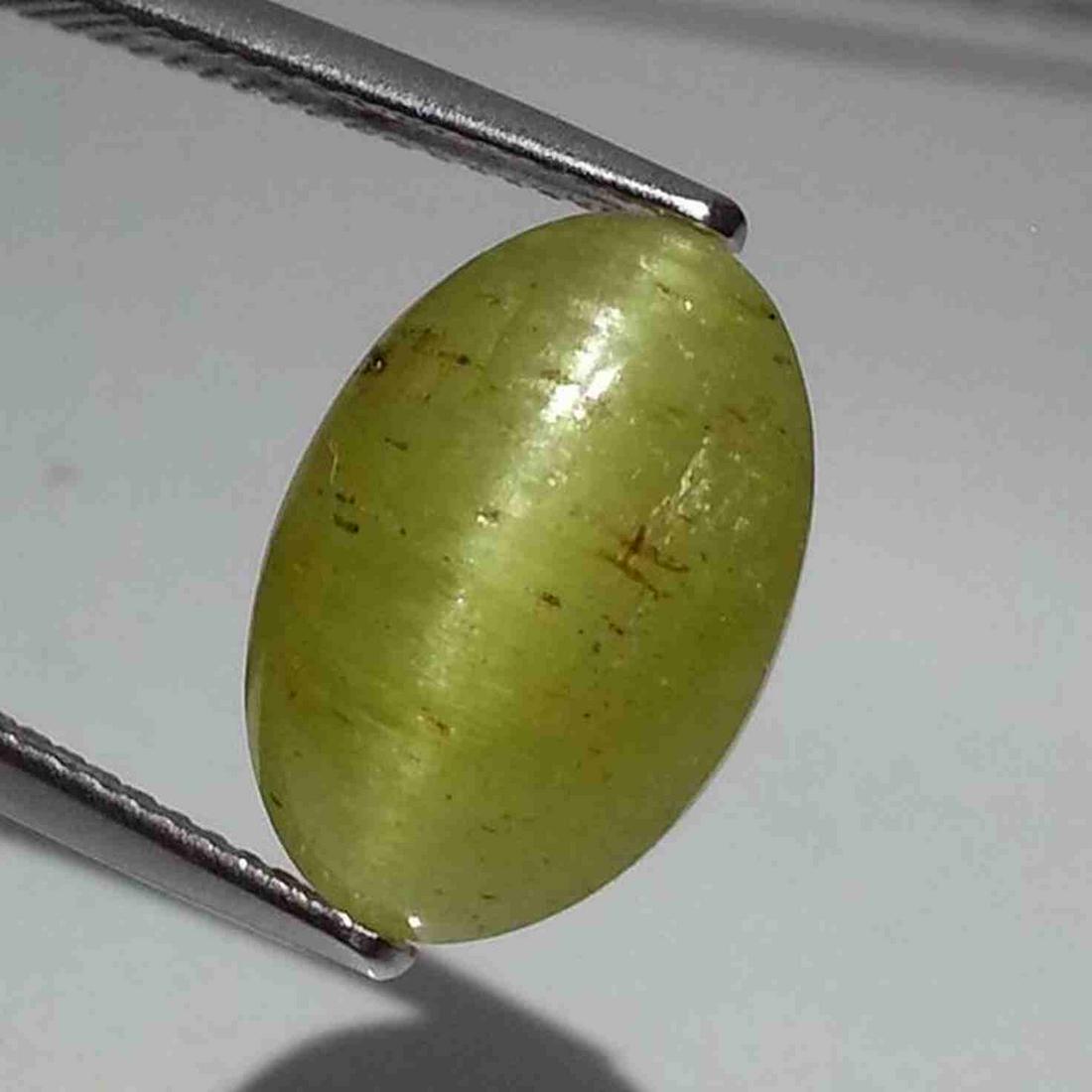 15.62 ct Natural Apatite cat's Eye: No Reserve! Title: 15.62 ct Natural Apatite cat's Eye Color/Clarity: Semi Transparent Type: Loosegemstone Carat Weight: 15.62 Dimensions: 17.20 x 14.00 x 8.40 Additional Information: Oval - Jharkhand 