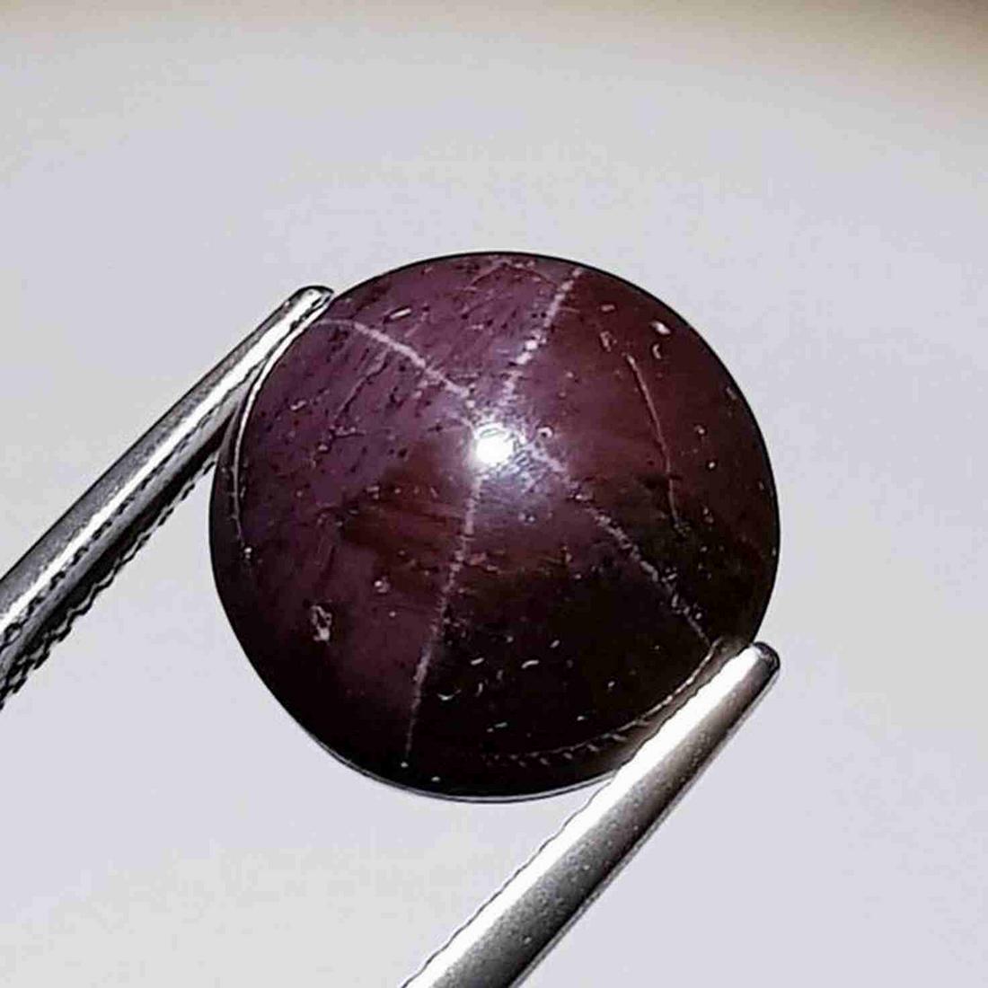 Natural Four Ray Star Garnet 20.94 ct (1 of 5)