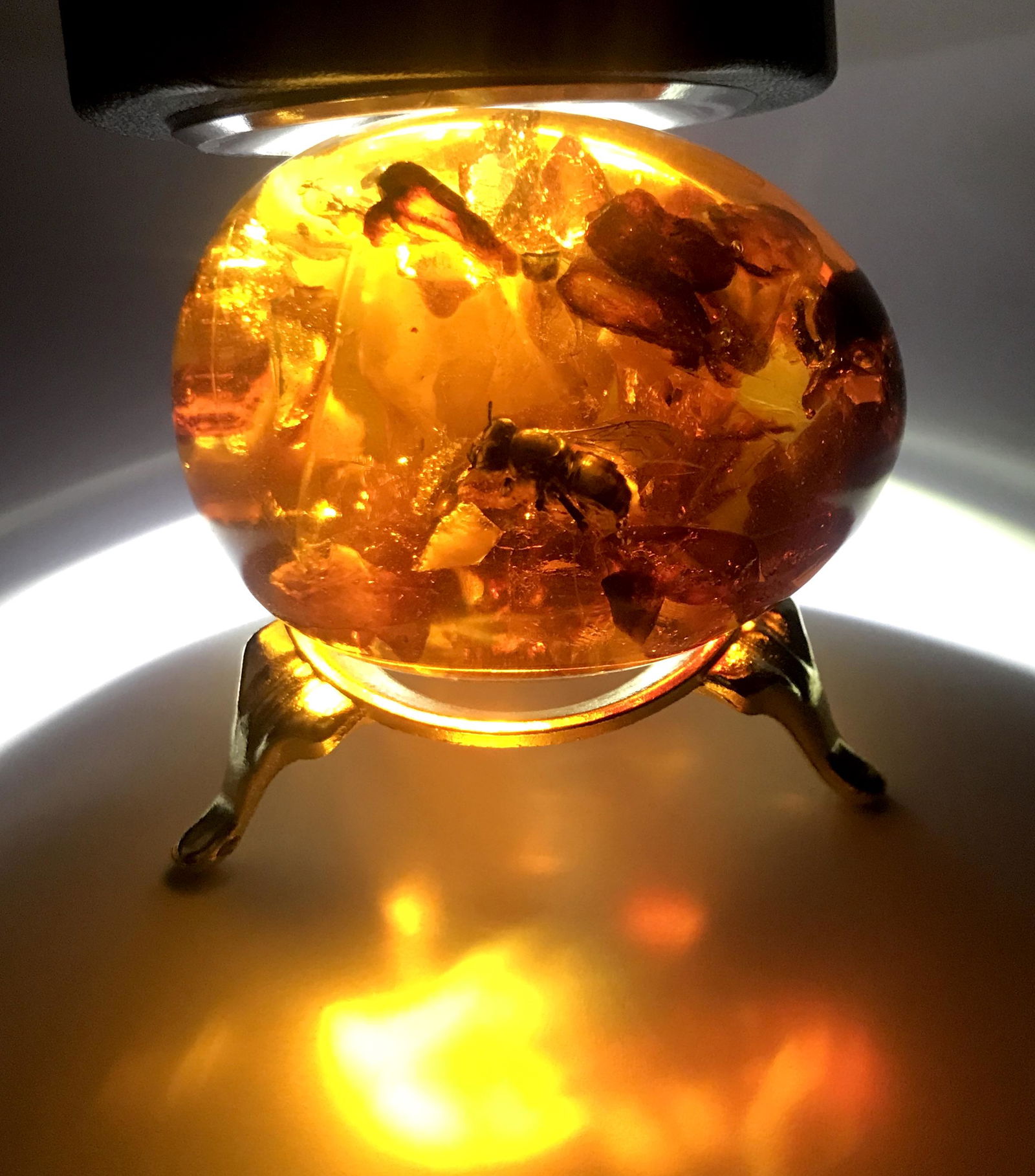 Remarkable Vintage Amber Egg with inclusion on a (1 of 8)