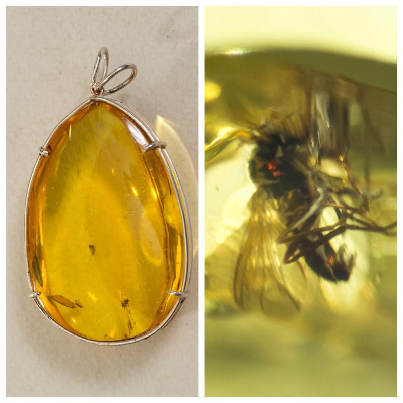 25 g. 100% natural Baltic amber pendant with insect in (1 of 15)